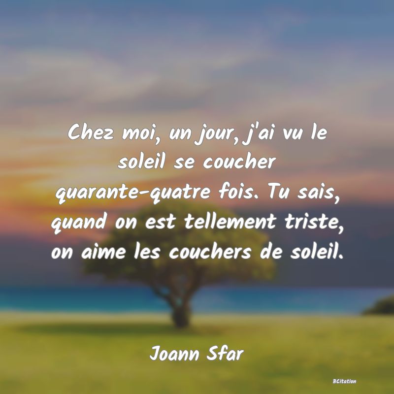 image de citation: Chez moi, un jour, j'ai vu le soleil se coucher quarante-quatre fois. Tu sais, quand on est tellement triste, on aime les couchers de soleil.