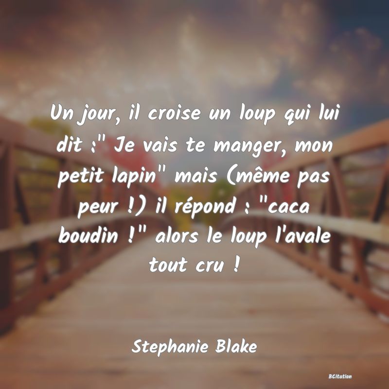 image de citation: Un jour, il croise un loup qui lui dit :  Je vais te manger, mon petit lapin  mais (même pas peur !) il répond :  caca boudin !  alors le loup l'avale tout cru !