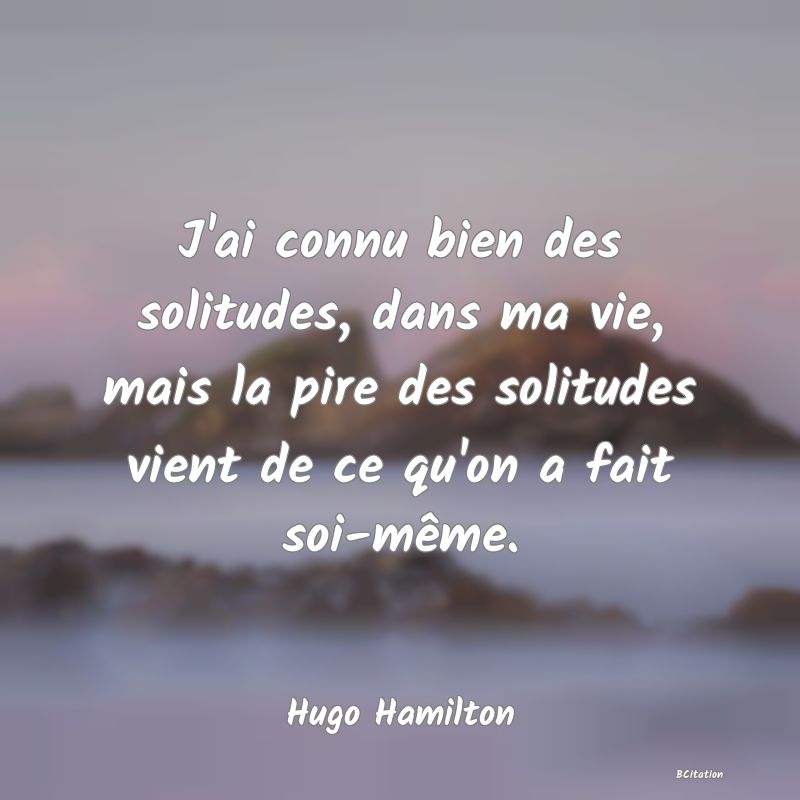 Belle Citation - J'ai connu bien des solitudes, dans ma vie, mais la pire des solitudes vient de ce qu'on a fait soi-même. - Hugo Hamilton