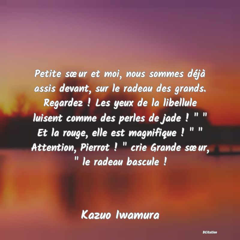 image de citation: Petite sœur et moi, nous sommes déjà assis devant, sur le radeau des grands. Regardez ! Les yeux de la libellule luisent comme des perles de jade !     Et la rouge, elle est magnifique !     Attention, Pierrot !   crie Grande sœur,   le radeau bascule !