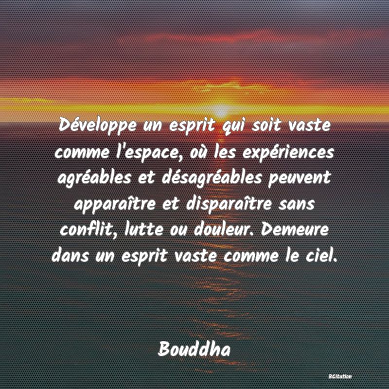 image de citation: Développe un esprit qui soit vaste comme l'espace, où les expériences agréables et désagréables peuvent apparaître et disparaître sans conflit, lutte ou douleur. Demeure dans un esprit vaste comme le ciel.