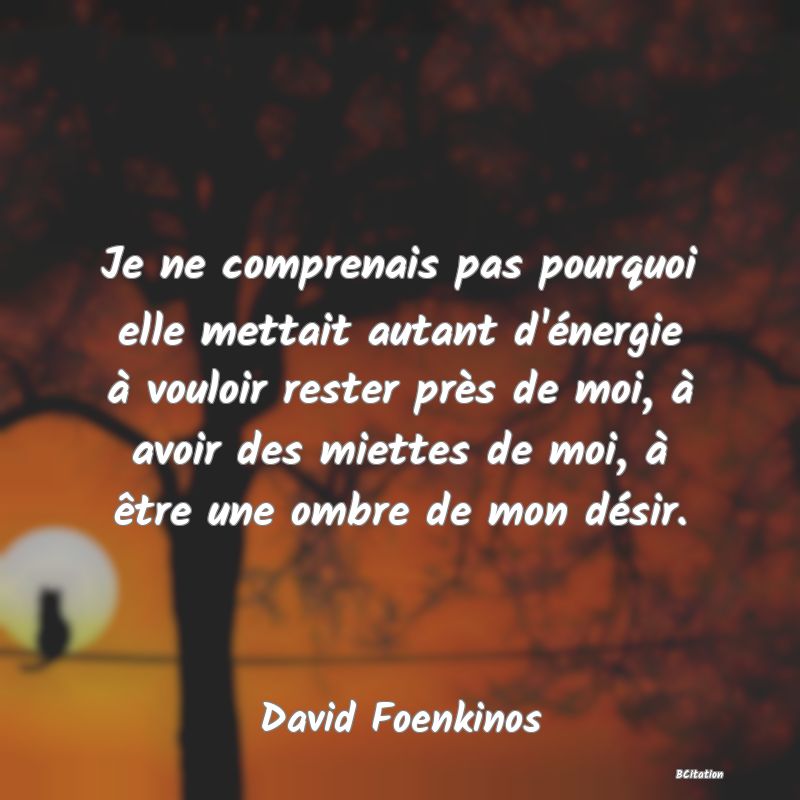 image de citation: Je ne comprenais pas pourquoi elle mettait autant d'énergie à vouloir rester près de moi, à avoir des miettes de moi, à être une ombre de mon désir.