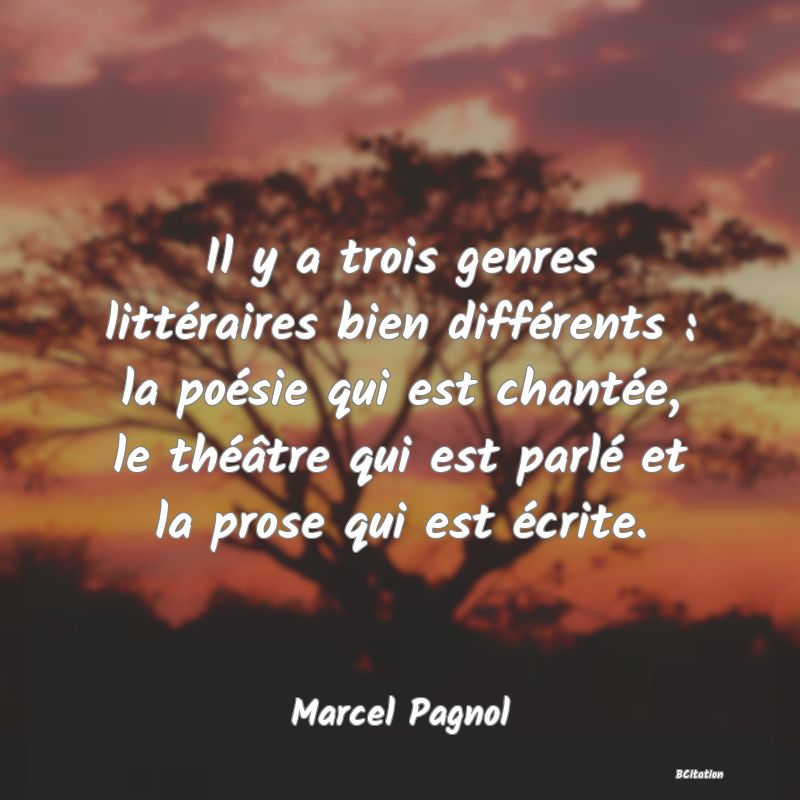 image de citation: Il y a trois genres littéraires bien différents : la poésie qui est chantée, le théâtre qui est parlé et la prose qui est écrite.