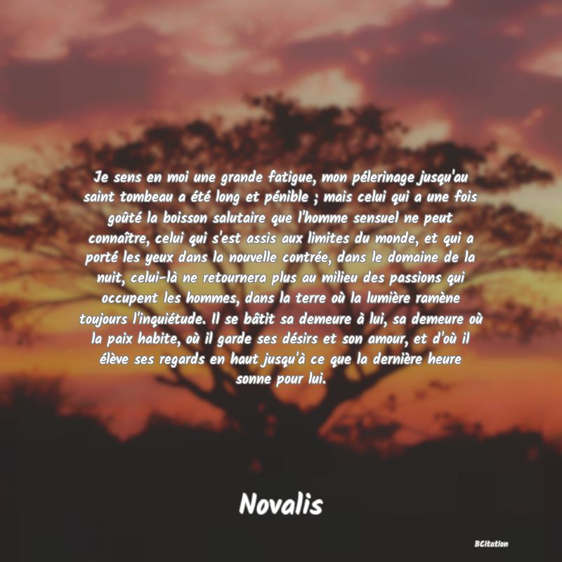 image de citation: Je sens en moi une grande fatigue, mon pélerinage jusqu'au saint tombeau a été long et pénible ; mais celui qui a une fois goûté la boisson salutaire que l'homme sensuel ne peut connaître, celui qui s'est assis aux limites du monde, et qui a porté les yeux dans la nouvelle contrée, dans le domaine de la nuit, celui-là ne retournera plus au milieu des passions qui occupent les hommes, dans la terre où la lumière ramène toujours l'inquiétude. Il se bâtit sa demeure à lui, sa demeure où la paix habite, où il garde ses désirs et son amour, et d'où il élève ses regards en haut jusqu'à ce que la dernière heure sonne pour lui.