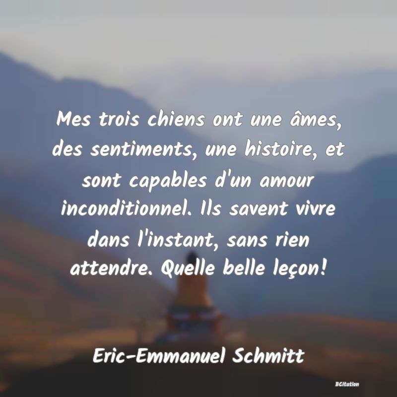 image de citation: Mes trois chiens ont une âmes, des sentiments, une histoire, et sont capables d'un amour inconditionnel. Ils savent vivre dans l'instant, sans rien attendre. Quelle belle leçon!