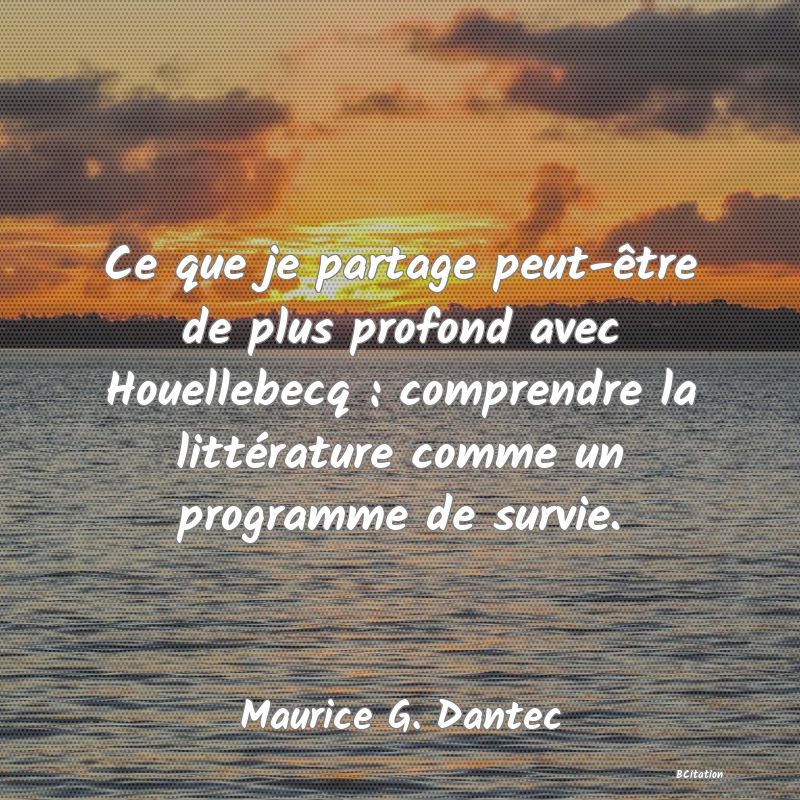 image de citation: Ce que je partage peut-être de plus profond avec Houellebecq : comprendre la littérature comme un programme de survie.