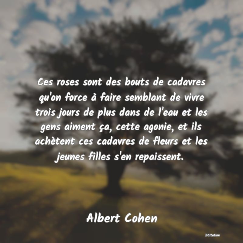 Belle Citation - Ces roses sont des bouts de cadavres qu'on force à faire semblant de vivre trois jours de plus dans de l'eau et les gens aiment ça, cette agonie, et ils achètent ces cadavres de fleurs et les jeunes filles s'en repaissent. - Albert Cohen