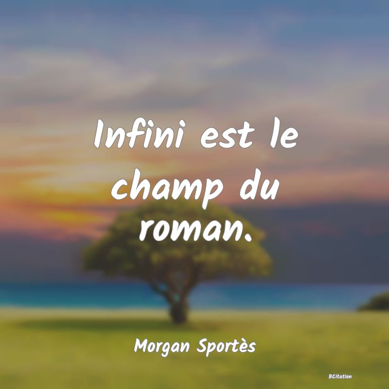 image de citation: Infini est le champ du roman.