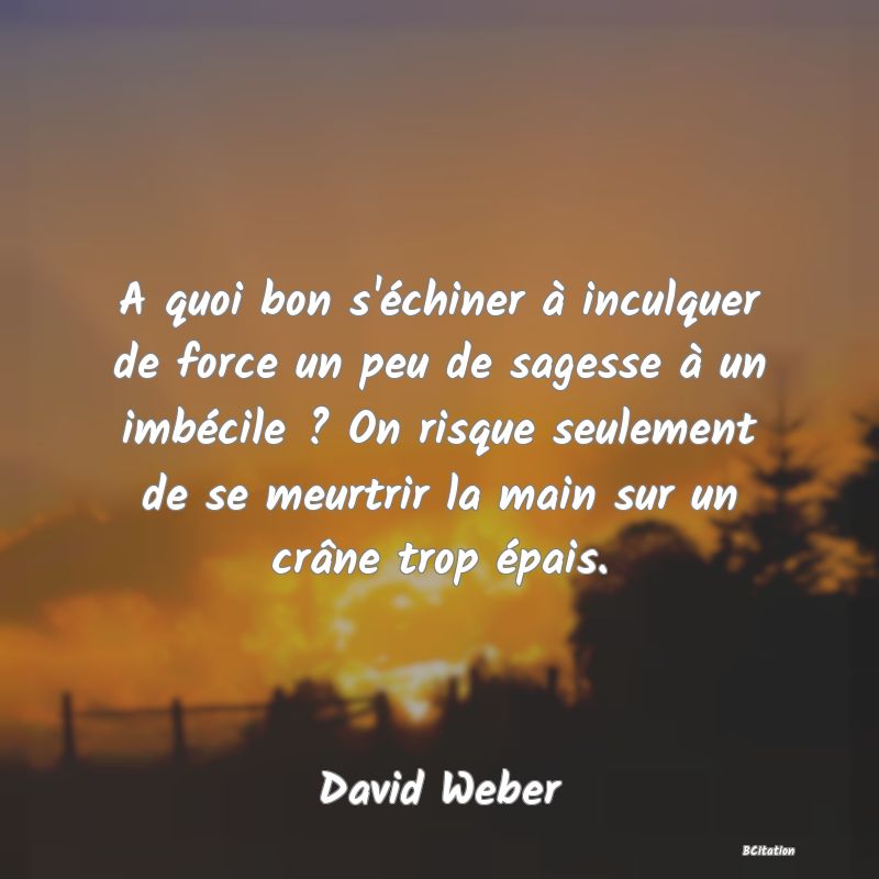 image de citation: A quoi bon s'échiner à inculquer de force un peu de sagesse à un imbécile ? On risque seulement de se meurtrir la main sur un crâne trop épais.