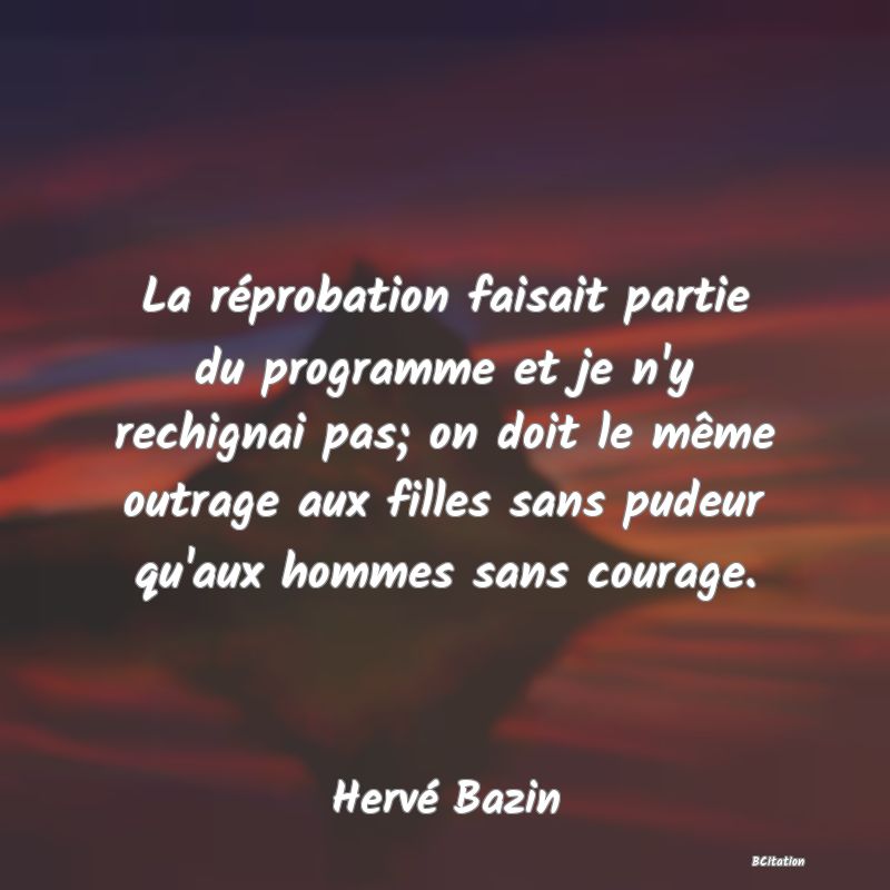 Belle Citation - La réprobation faisait partie du programme et je n'y rechignai pas; on doit le même outrage aux filles sans pudeur qu'aux hommes sans courage. - Hervé Bazin