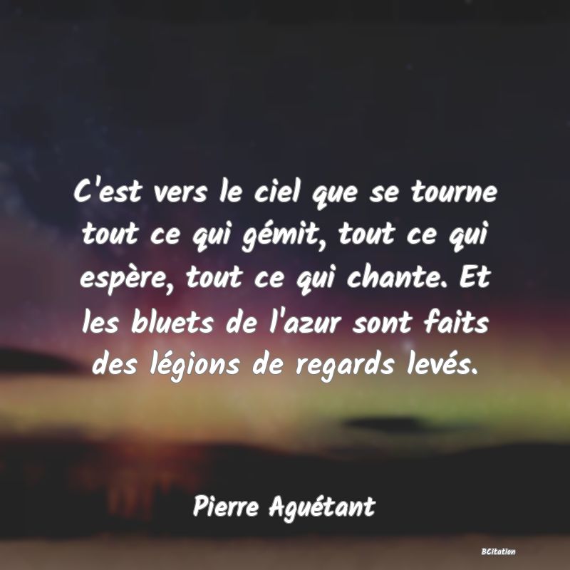 image de citation: C'est vers le ciel que se tourne tout ce qui gémit, tout ce qui espère, tout ce qui chante. Et les bluets de l'azur sont faits des légions de regards levés.