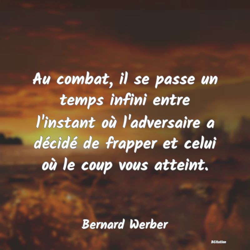 Belle Citation - Au combat, il se passe un temps infini entre l'instant où l'adversaire a décidé de frapper et celui où le coup vous atteint. - Bernard Werber