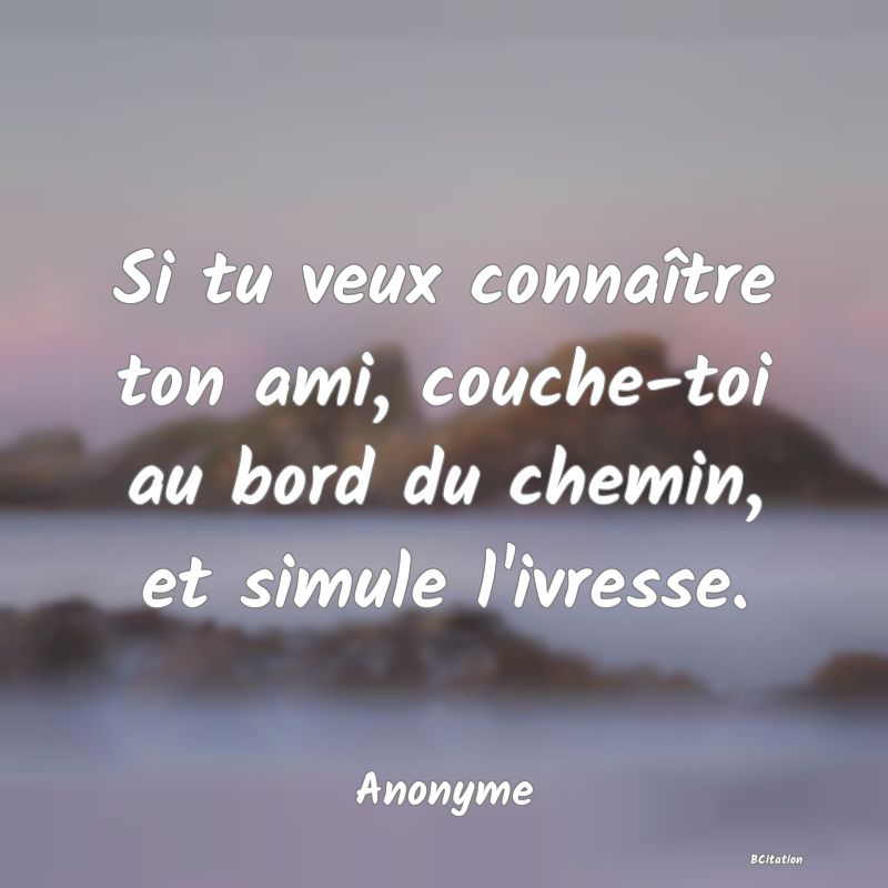 image de citation: Si tu veux connaître ton ami, couche-toi au bord du chemin, et simule l'ivresse.