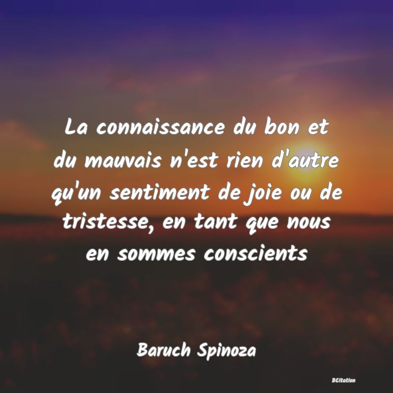 image de citation: La connaissance du bon et du mauvais n'est rien d'autre qu'un sentiment de joie ou de tristesse, en tant que nous en sommes conscients