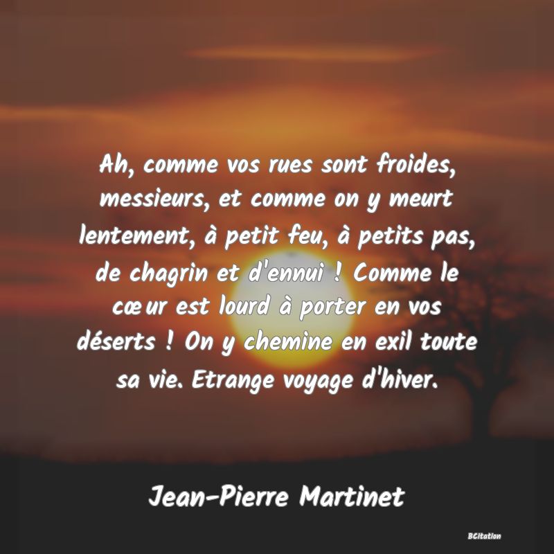 image de citation: Ah, comme vos rues sont froides, messieurs, et comme on y meurt lentement, à petit feu, à petits pas, de chagrin et d'ennui ! Comme le cœur est lourd à porter en vos déserts ! On y chemine en exil toute sa vie. Etrange voyage d'hiver.