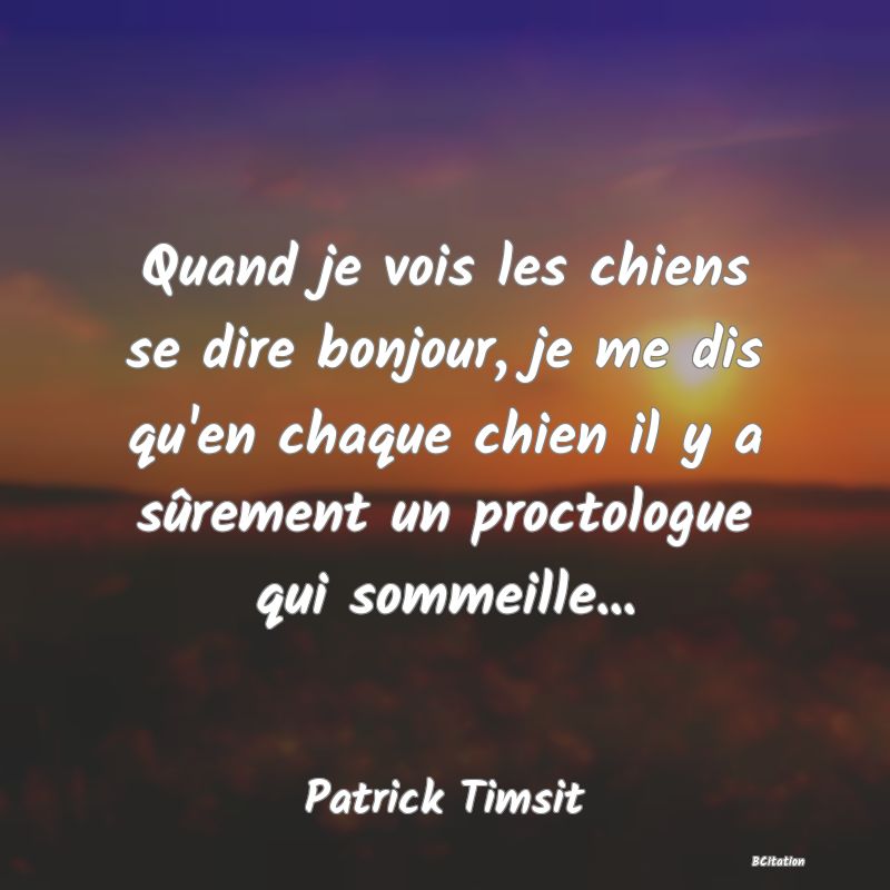 image de citation: Quand je vois les chiens se dire bonjour, je me dis qu'en chaque chien il y a sûrement un proctologue qui sommeille...