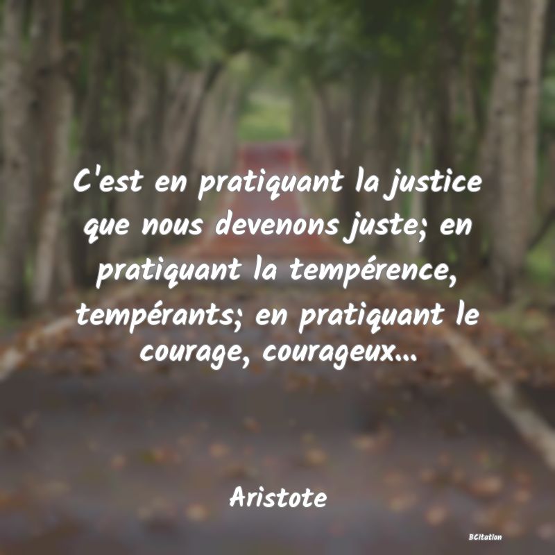 image de citation: C'est en pratiquant la justice que nous devenons juste; en pratiquant la tempérence, tempérants; en pratiquant le courage, courageux...