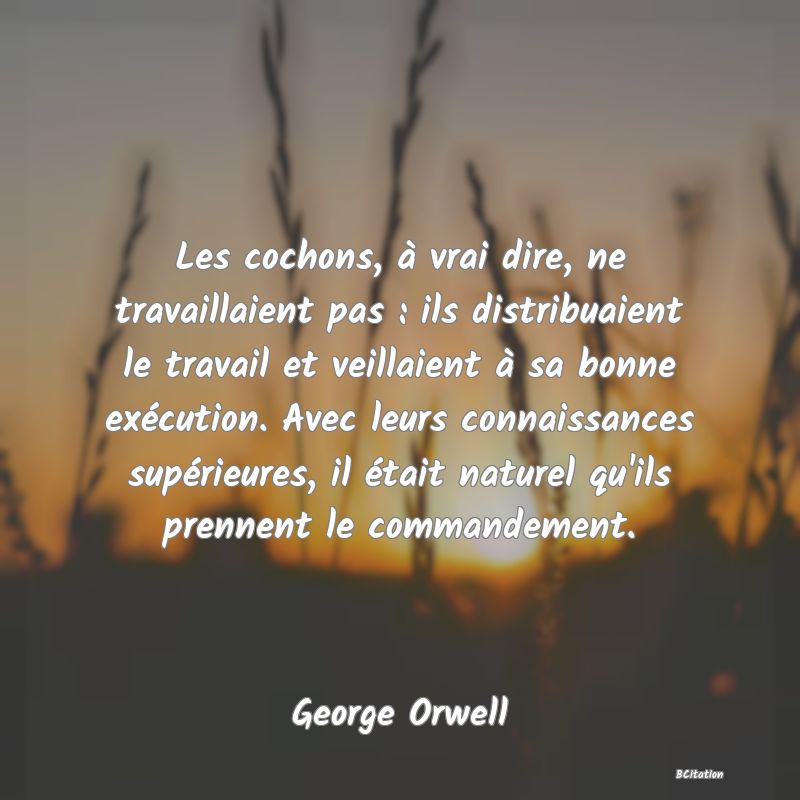 Belle Citation - Les cochons, à vrai dire, ne travaillaient pas : ils distribuaient le travail et veillaient à sa bonne exécution. Avec leurs connaissances supérieures, il était naturel qu'ils prennent le commandement. - George Orwell