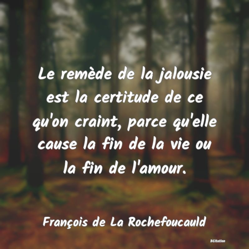 image de citation: Le remède de la jalousie est la certitude de ce qu'on craint, parce qu'elle cause la fin de la vie ou la fin de l'amour.