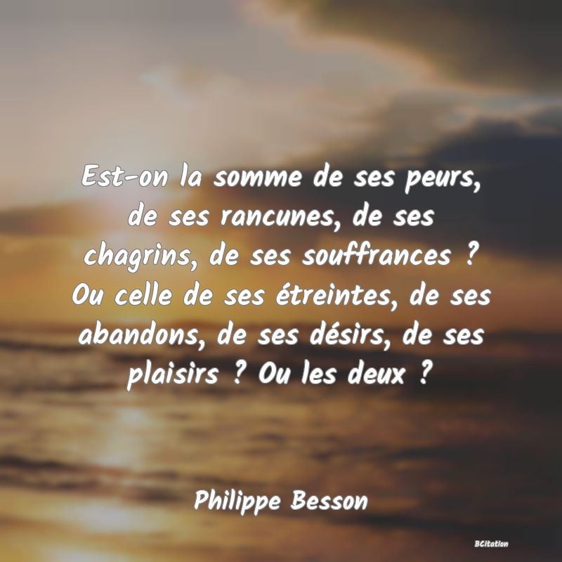 Belle Citation - Est-on la somme de ses peurs, de ses rancunes, de ses chagrins, de ses souffrances ? Ou celle de ses étreintes, de ses abandons, de ses désirs, de ses plaisirs ? Ou les deux ? - Philippe Besson