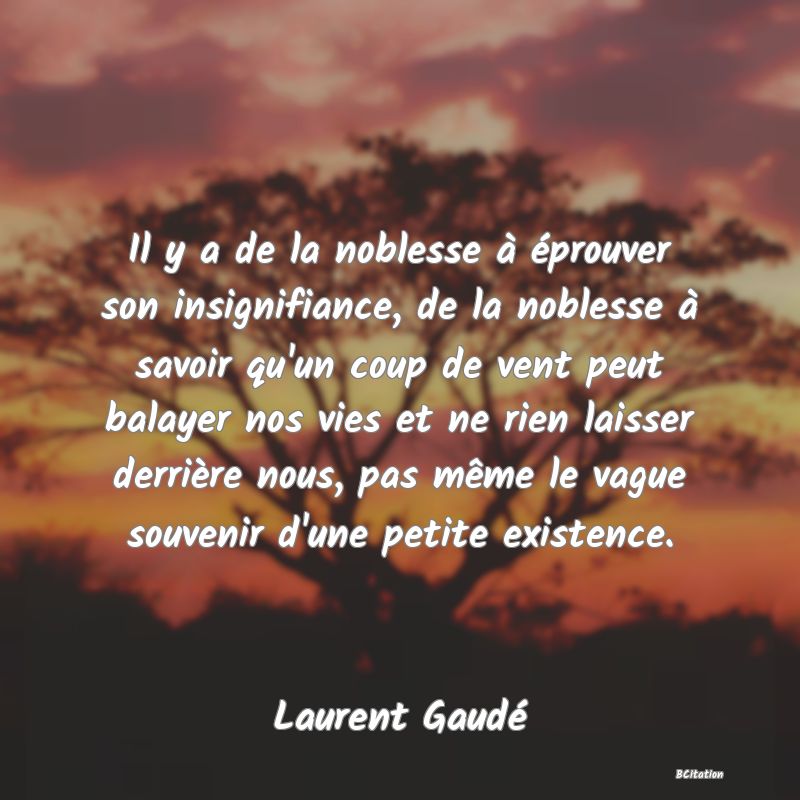 image de citation: Il y a de la noblesse à éprouver son insignifiance, de la noblesse à savoir qu'un coup de vent peut balayer nos vies et ne rien laisser derrière nous, pas même le vague souvenir d'une petite existence.