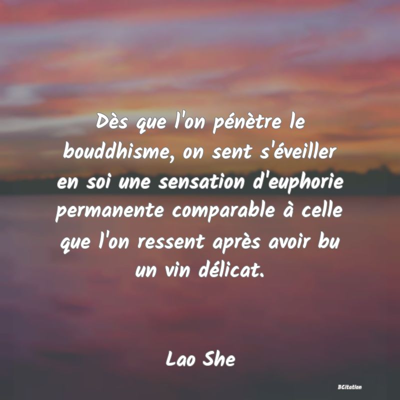 image de citation: Dès que l'on pénètre le bouddhisme, on sent s'éveiller en soi une sensation d'euphorie permanente comparable à celle que l'on ressent après avoir bu un vin délicat.