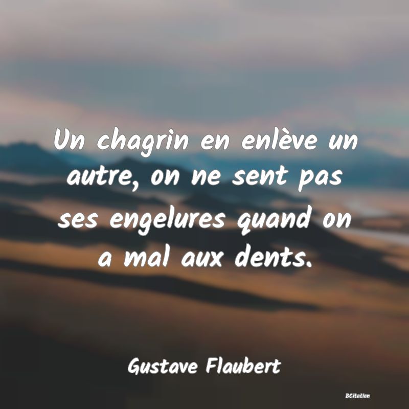 image de citation: Un chagrin en enlève un autre, on ne sent pas ses engelures quand on a mal aux dents.