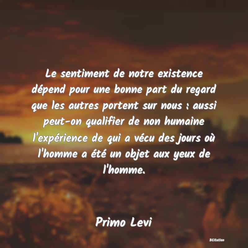 image de citation: Le sentiment de notre existence dépend pour une bonne part du regard que les autres portent sur nous : aussi peut-on qualifier de non humaine l'expérience de qui a vécu des jours où l'homme a été un objet aux yeux de l'homme.