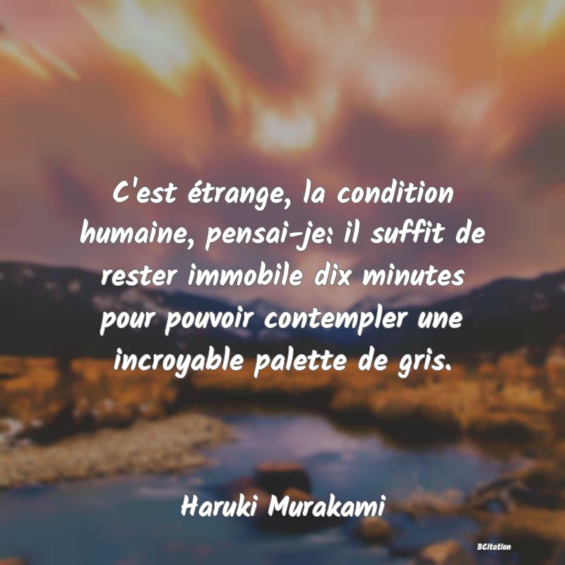 Belle Citation - C'est étrange, la condition humaine, pensai-je: il suffit de rester immobile dix minutes pour pouvoir contempler une incroyable palette de gris. - Haruki Murakami
