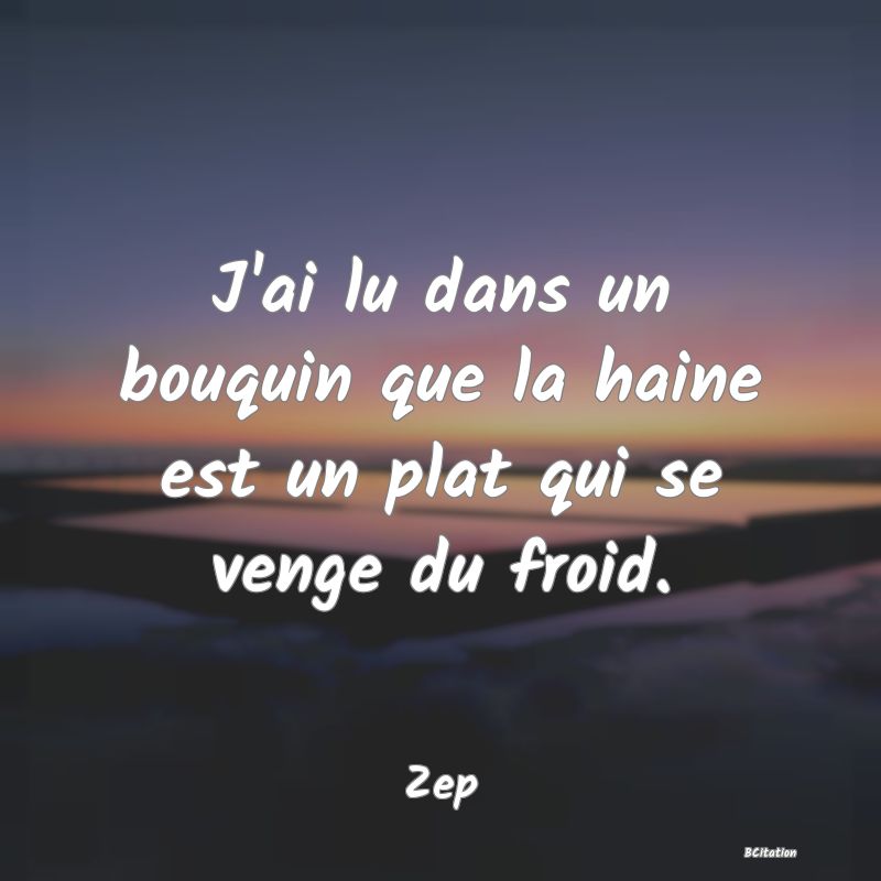 Belle Citation - J'ai lu dans un bouquin que la haine est un plat qui se venge du froid. - Zep