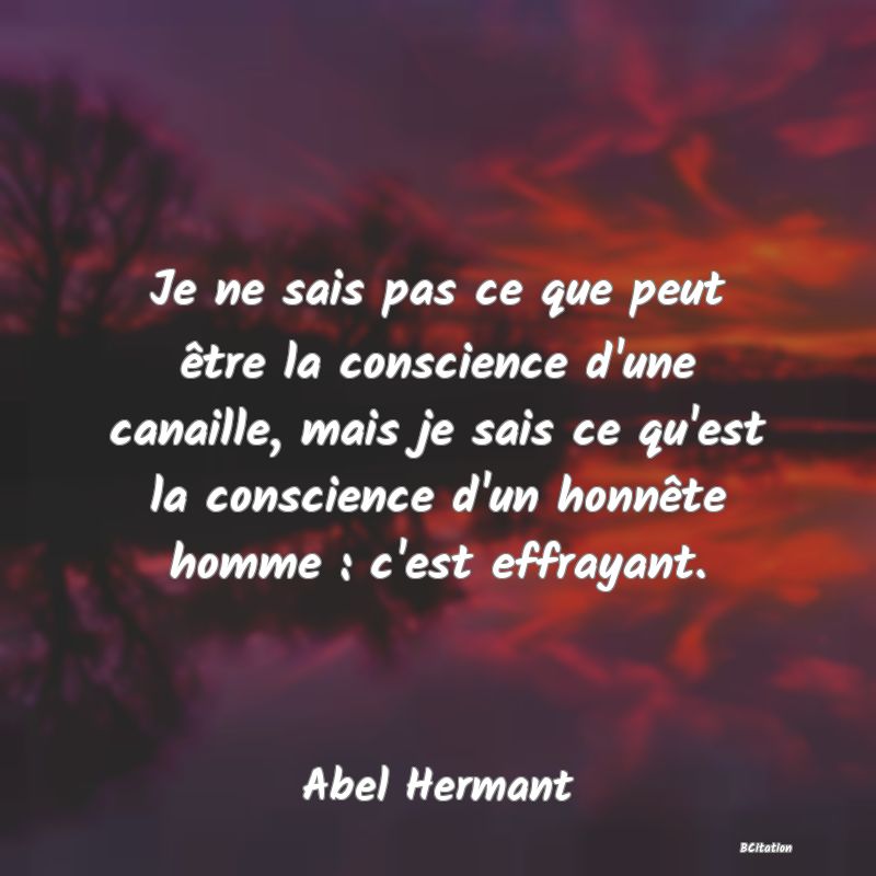 image de citation: Je ne sais pas ce que peut être la conscience d'une canaille, mais je sais ce qu'est la conscience d'un honnête homme : c'est effrayant.