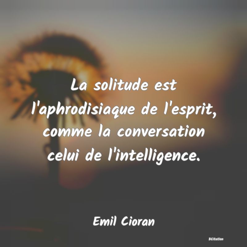 image de citation: La solitude est l'aphrodisiaque de l'esprit, comme la conversation celui de l'intelligence.