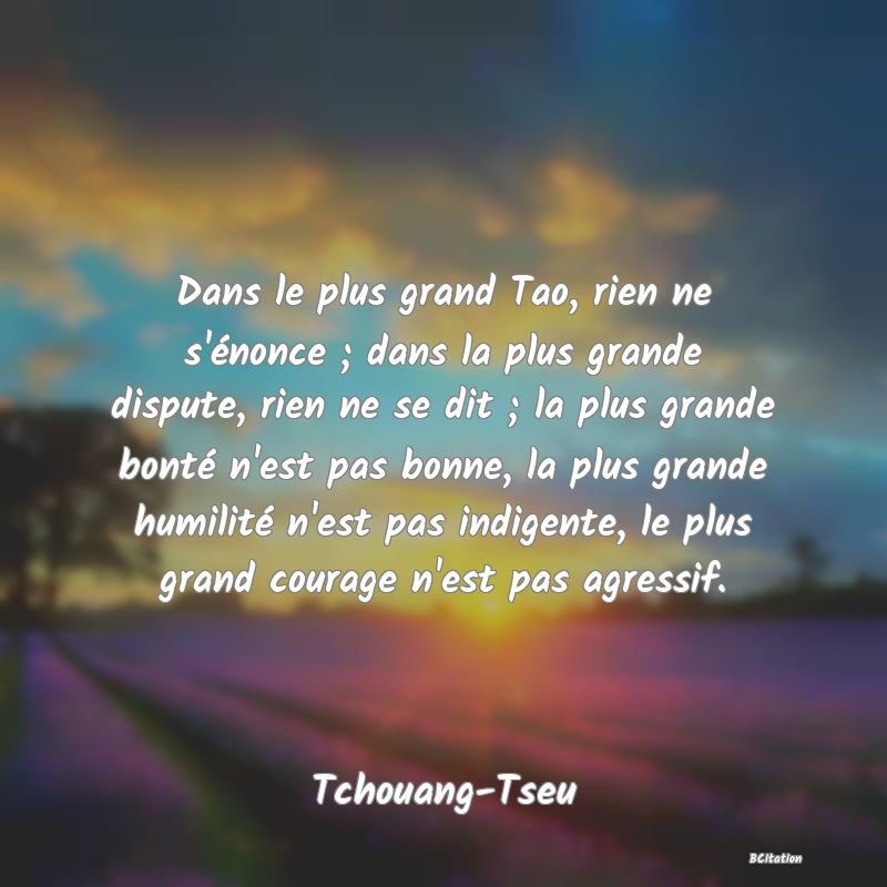 image de citation: Dans le plus grand Tao, rien ne s'énonce ; dans la plus grande dispute, rien ne se dit ; la plus grande bonté n'est pas bonne, la plus grande humilité n'est pas indigente, le plus grand courage n'est pas agressif.