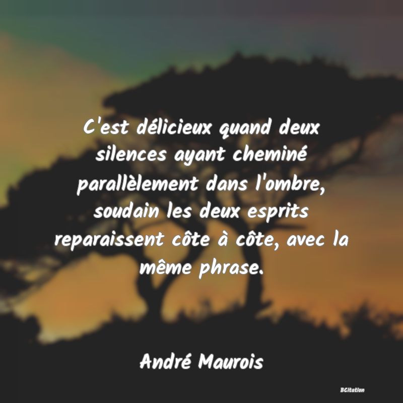 image de citation: C'est délicieux quand deux silences ayant cheminé parallèlement dans l'ombre, soudain les deux esprits reparaissent côte à côte, avec la même phrase.