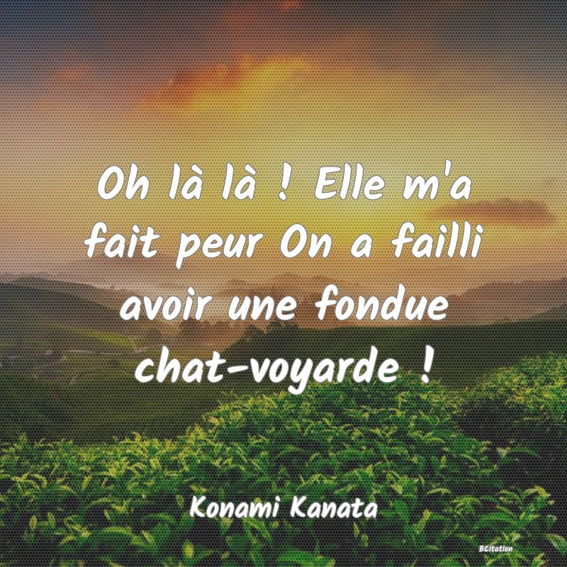 image de citation: Oh là là ! Elle m'a fait peur On a failli avoir une fondue chat-voyarde !