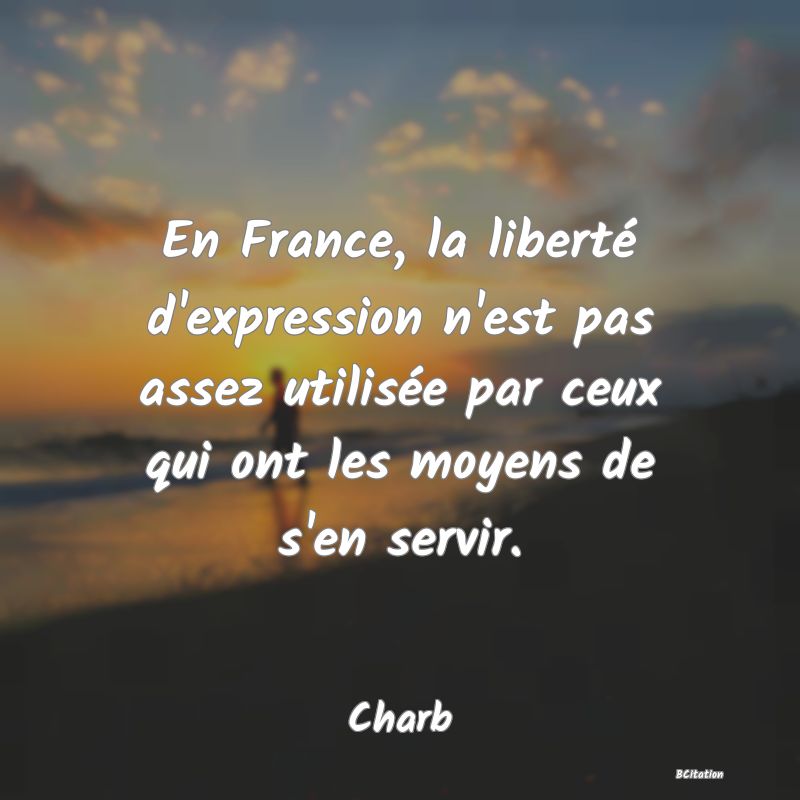 image de citation: En France, la liberté d'expression n'est pas assez utilisée par ceux qui ont les moyens de s'en servir.