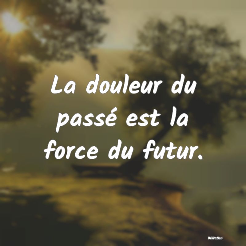 image de citation: La douleur du passé est la force du futur.
