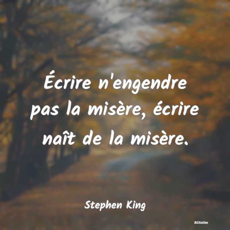 image de citation: Écrire n'engendre pas la misère, écrire naît de la misère.