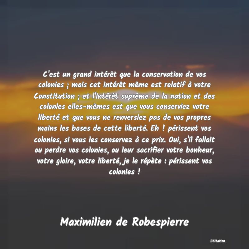 image de citation: C'est un grand intérêt que la conservation de vos colonies ; mais cet intérêt même est relatif à votre Constitution ; et l'intérêt suprême de la nation et des colonies elles-mêmes est que vous conserviez votre liberté et que vous ne renversiez pas de vos propres mains les bases de cette liberté. Eh ! périssent vos colonies, si vous les conservez à ce prix. Oui, s'il fallait ou perdre vos colonies, ou leur sacrifier votre bonheur, votre gloire, votre liberté, je le répète : périssent vos colonies !