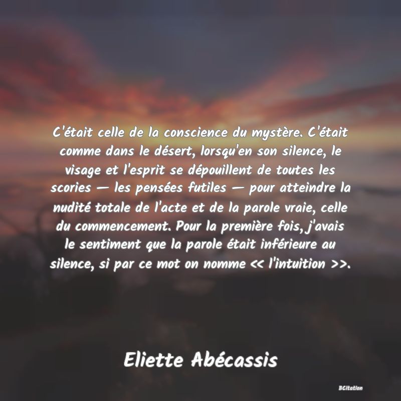 image de citation: C'était celle de la conscience du mystère. C'était comme dans le désert, lorsqu'en son silence, le visage et l'esprit se dépouillent de toutes les scories — les pensées futiles — pour atteindre la nudité totale de l'acte et de la parole vraie, celle du commencement. Pour la première fois, j'avais le sentiment que la parole était inférieure au silence, si par ce mot on nomme << l'intuition >>.