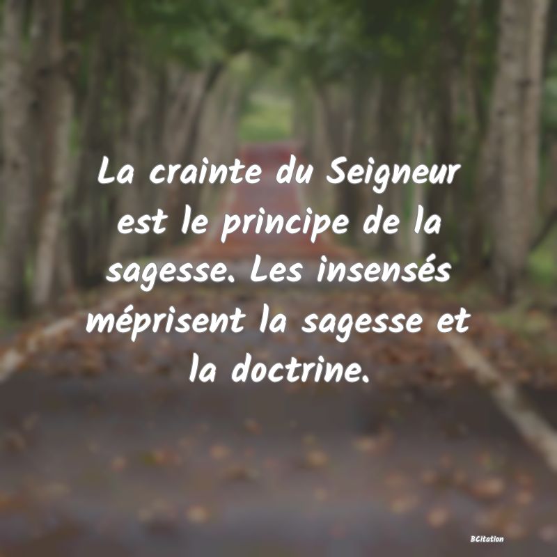 Belle Citation - La crainte du Seigneur est le principe de la sagesse. Les insensés méprisent la sagesse et la doctrine. - 