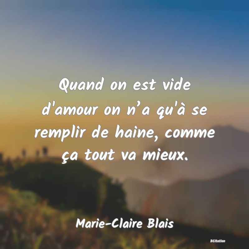 image de citation: Quand on est vide d'amour on n’a qu'à se remplir de haine, comme ça tout va mieux.