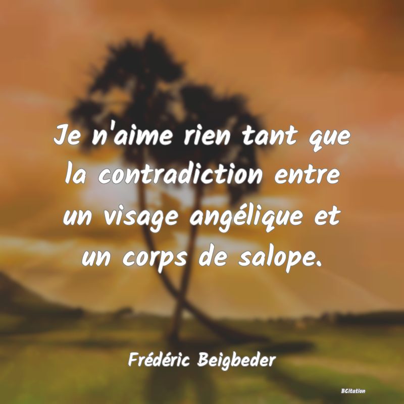 Belle Citation - Je n'aime rien tant que la contradiction entre un visage angélique et un corps de salope. - Frédéric Beigbeder