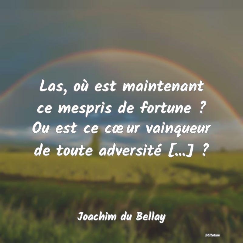Belle Citation - Las, où est maintenant ce mespris de fortune ? Ou est ce cœur vainqueur de toute adversité [...] ? - Joachim du Bellay