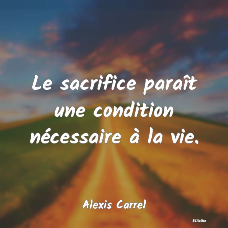 image de citation: Le sacrifice paraît une condition nécessaire à la vie.