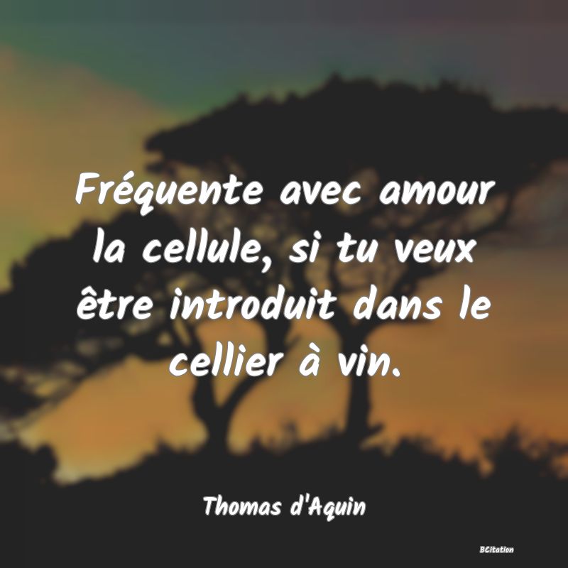 image de citation: Fréquente avec amour la cellule, si tu veux être introduit dans le cellier à vin.