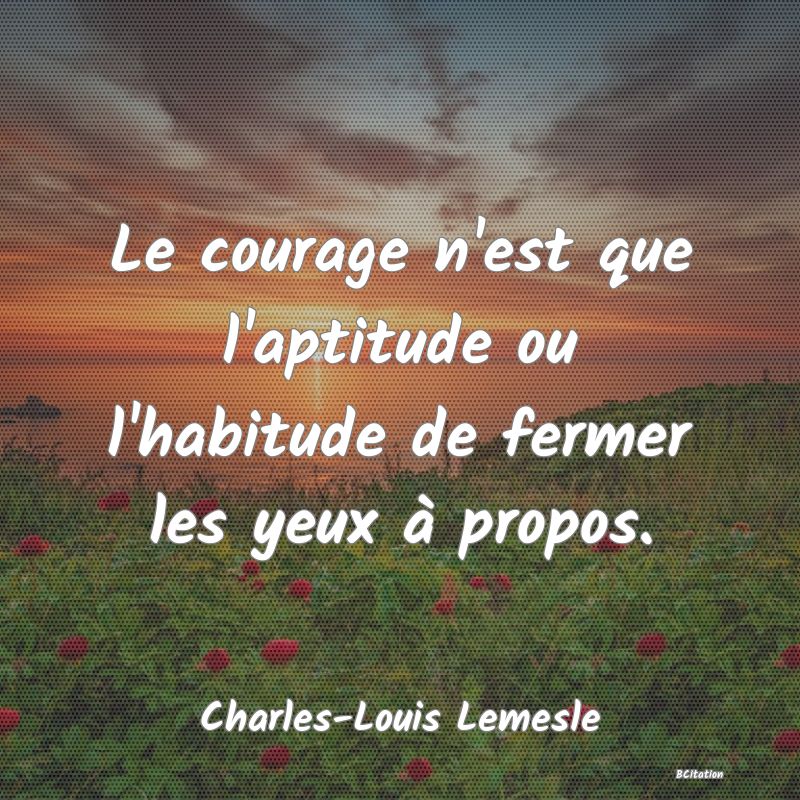 image de citation: Le courage n'est que l'aptitude ou l'habitude de fermer les yeux à propos.