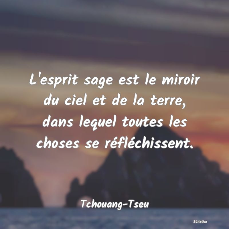 image de citation: L'esprit sage est le miroir du ciel et de la terre, dans lequel toutes les choses se réfléchissent.