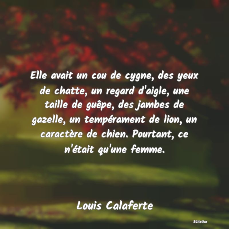 image de citation: Elle avait un cou de cygne, des yeux de chatte, un regard d'aigle, une taille de guêpe, des jambes de gazelle, un tempérament de lion, un caractère de chien. Pourtant, ce n'était qu'une femme.