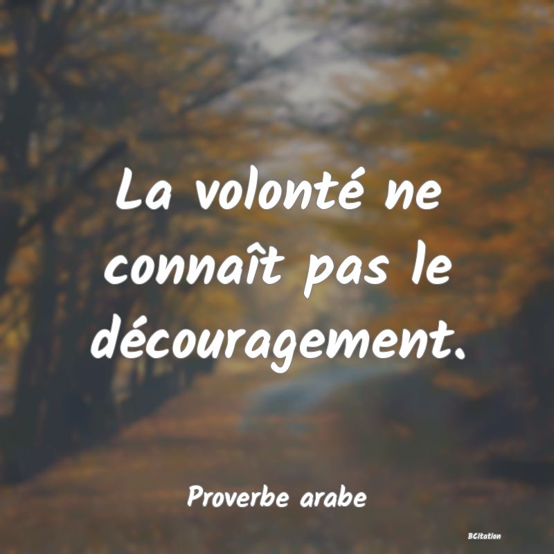 Belle Citation - La volonté ne connaît pas le découragement. - Proverbe arabe